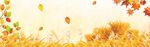 BANNER背景