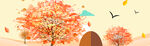 BANNER背景
