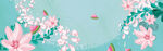 BANNER背景