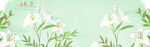 BANNER背景