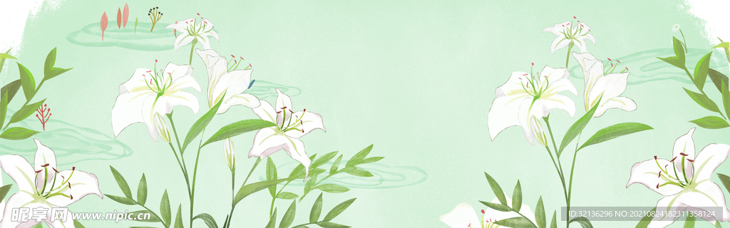 BANNER背景