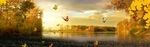 BANNER背景