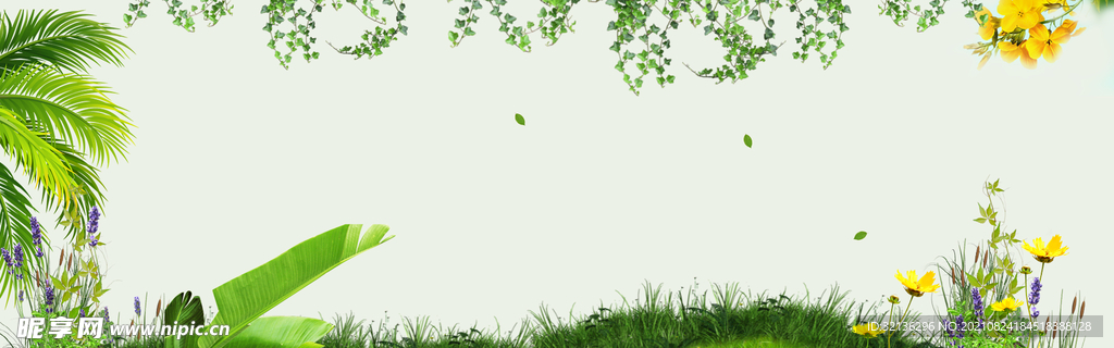 BANNER背景