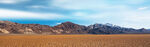 BANNER背景