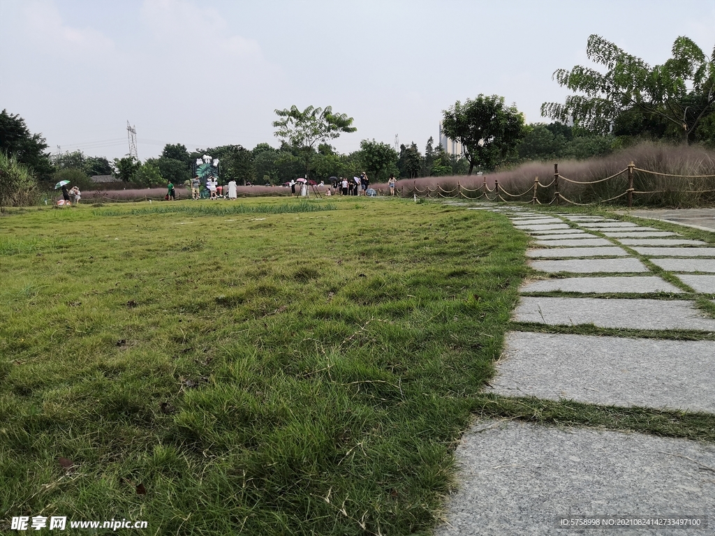 翰林湖粉黛路