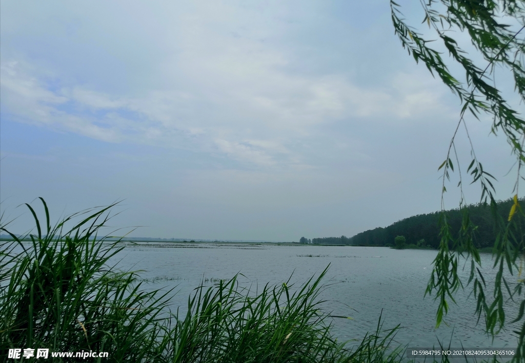 濛洼水景