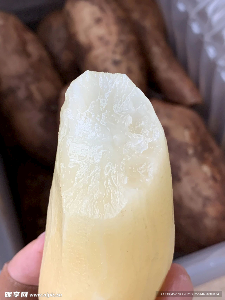 雪莲果