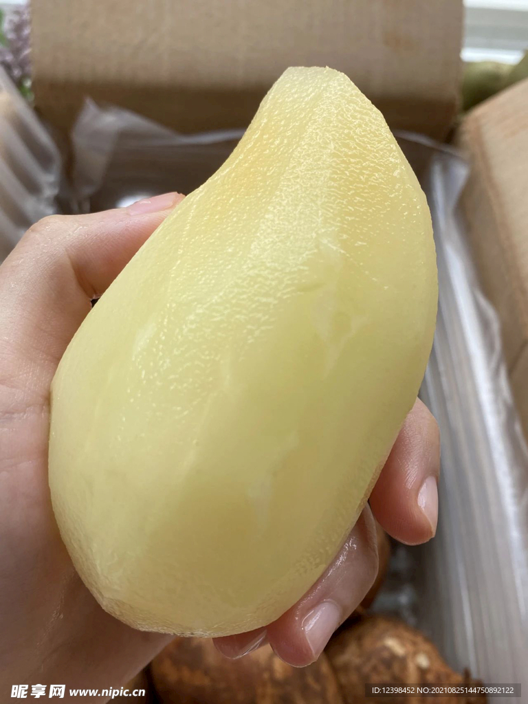 雪莲果
