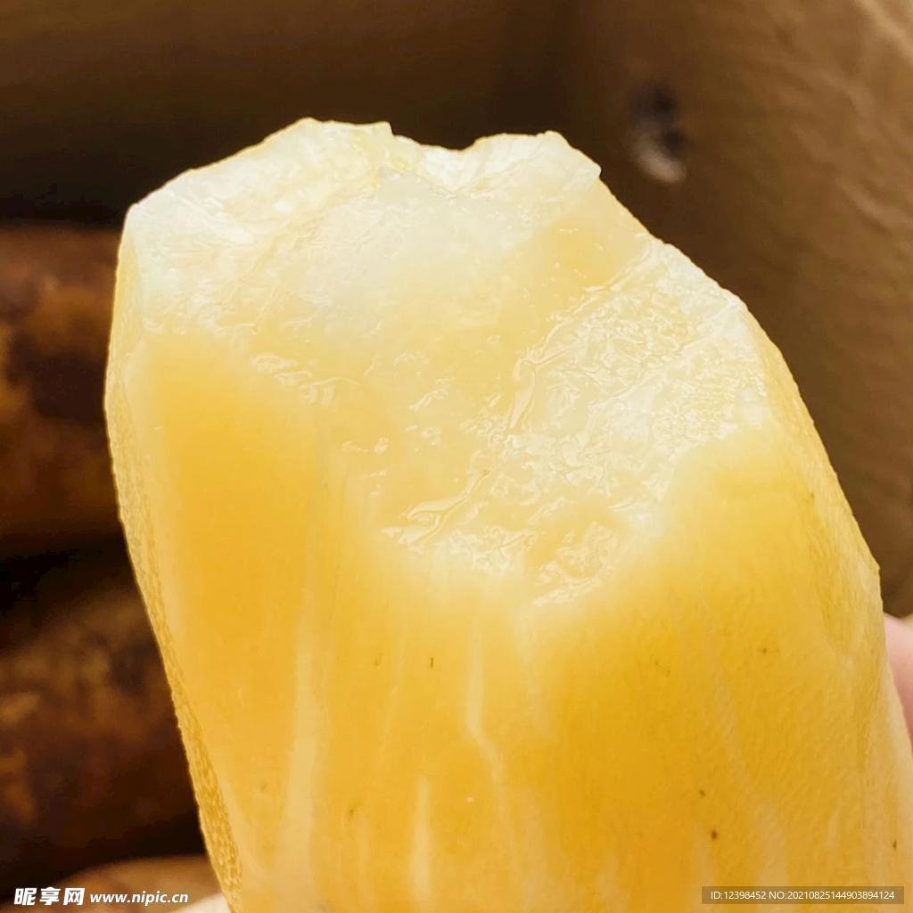 雪莲果