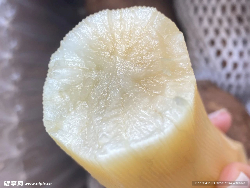 雪莲果