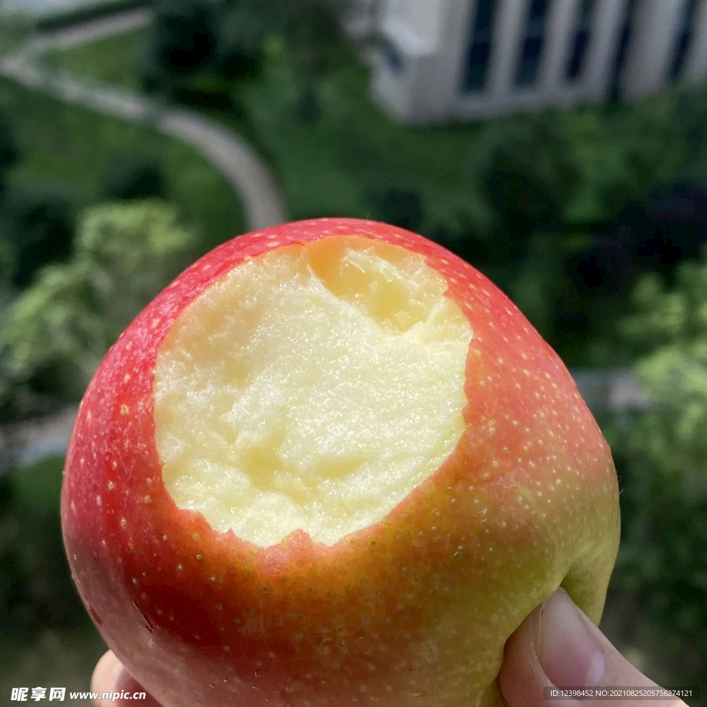 苹果