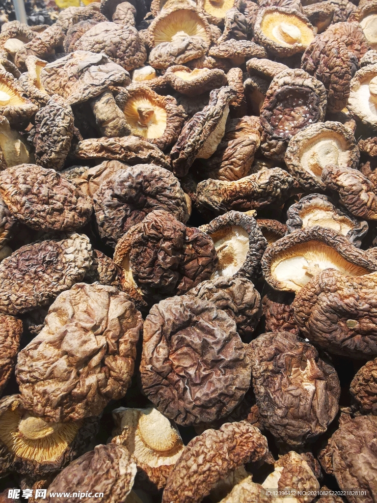 干香菇