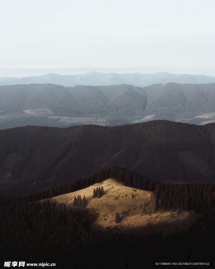 山林