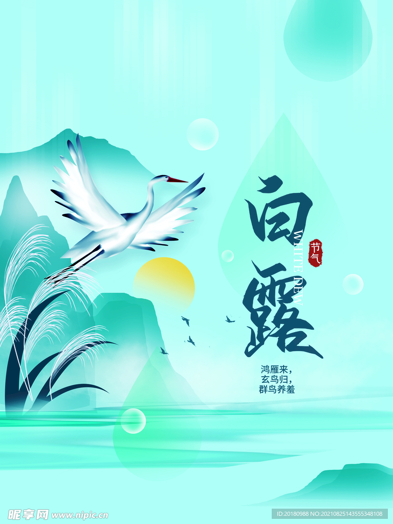 白露