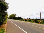 美丽的乡村道路风景