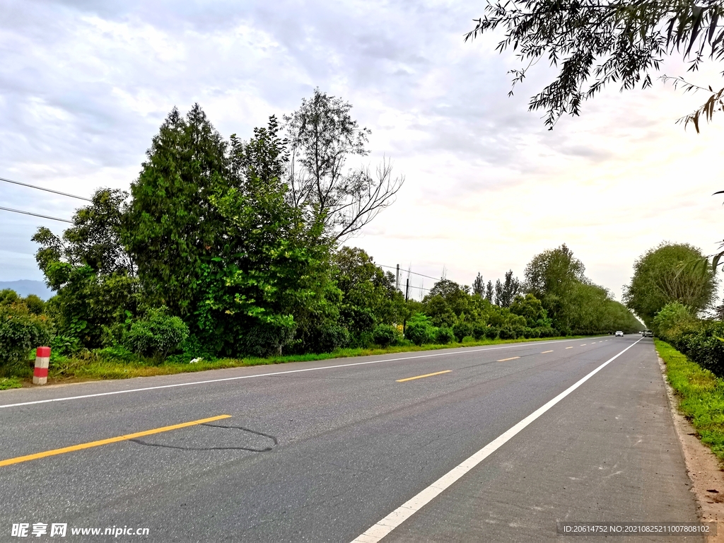 美丽的乡村道路风景