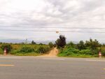 乡村道路风景