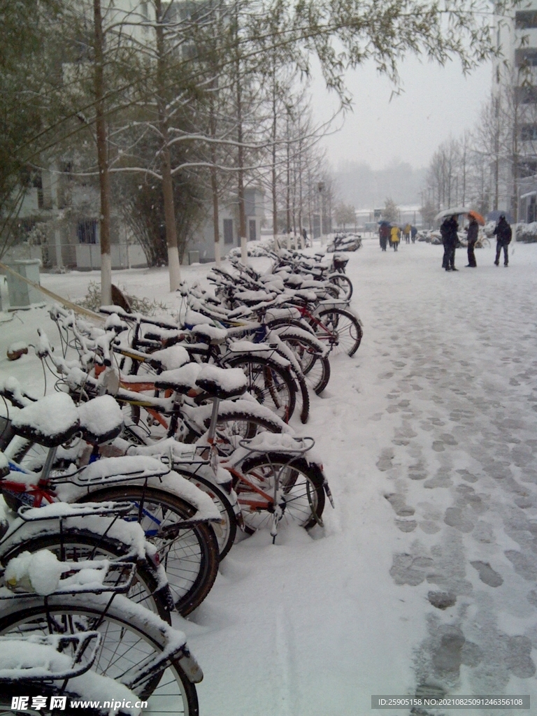 雪后的校园