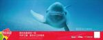 海豚公益活动保护环境