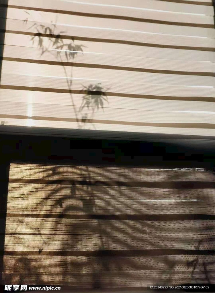 窗上的影子