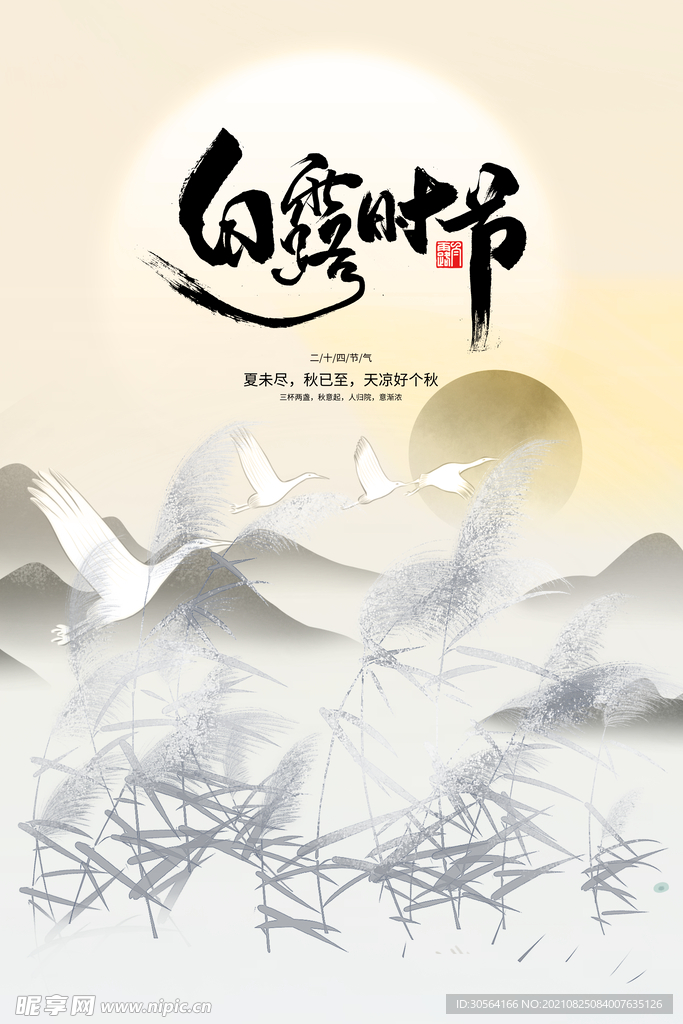 白露