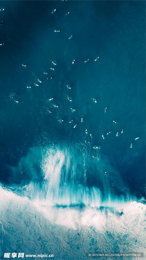 大海