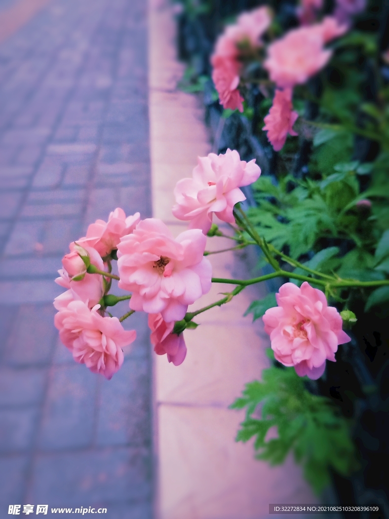 花