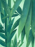 绿色植物背景