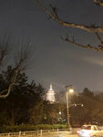 宝塔夜景