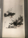 荷花国画