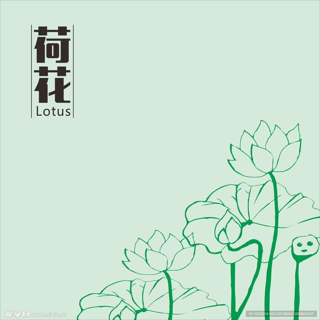 荷花
