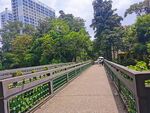 广西民族大学八坡小桥