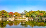 美丽的公园湖泊风景