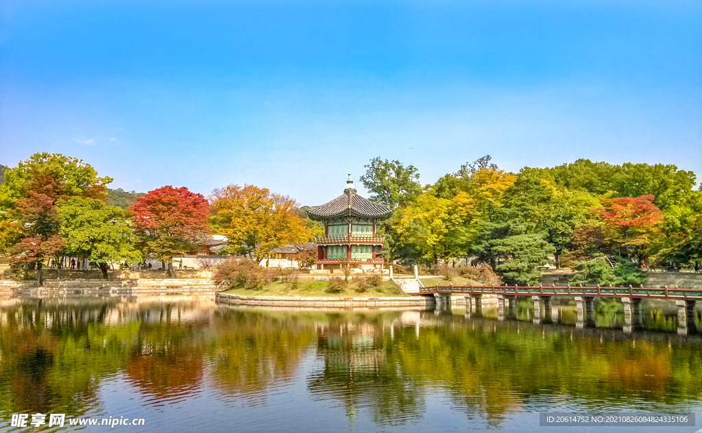 美丽的公园湖泊风景