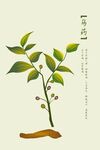 中药乌药