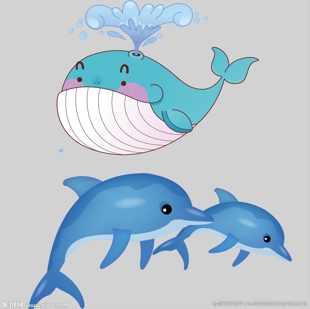 海豚