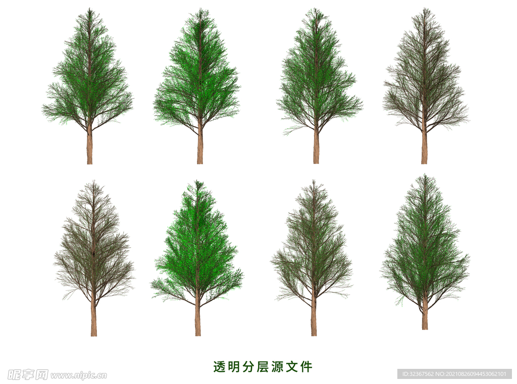 智南柏