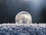 雪中泡泡
