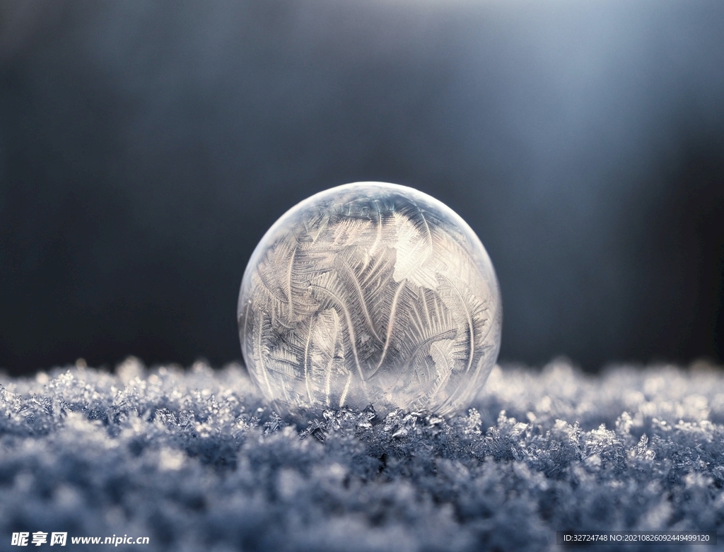 雪中泡泡