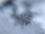 雪花