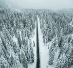 雪景