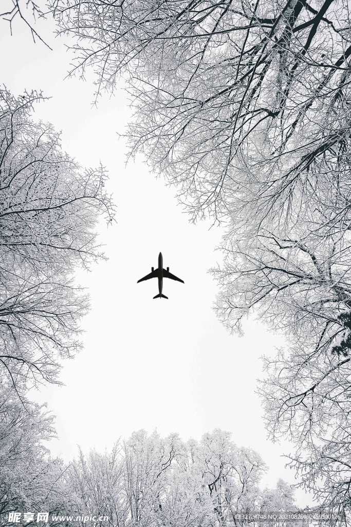 雪景