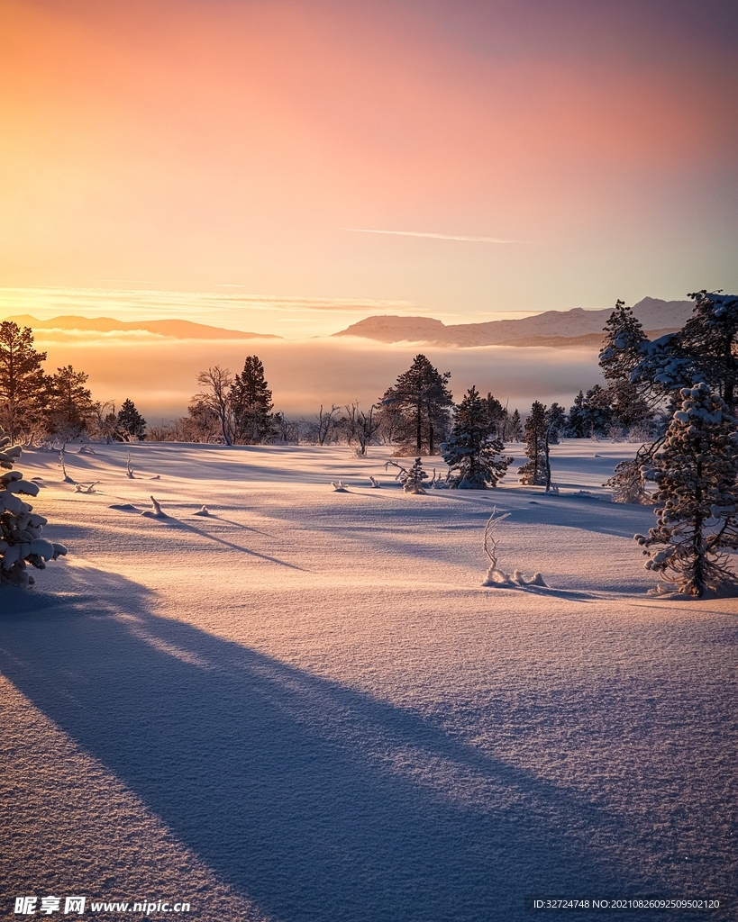 雪景