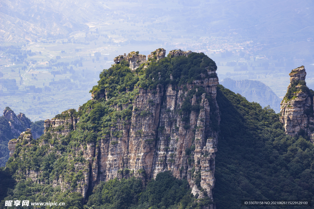 高山石林