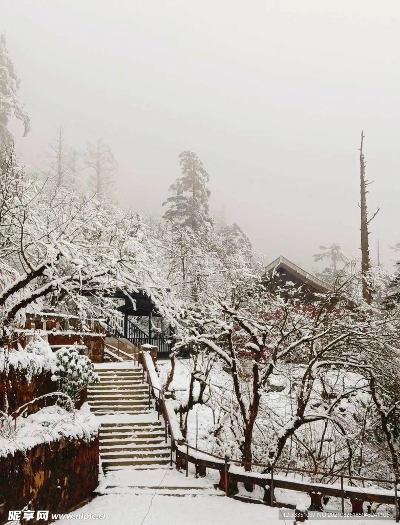 大连雪景