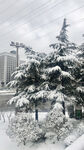 城市雪景