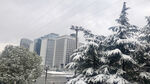 城市雪景