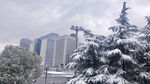 扬州雪景