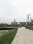 明月湖公园