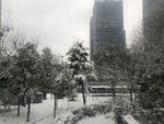 城市雪景